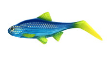 Load image into Gallery viewer, Kanalgratis Hooligan Roach Jnr 15cm NEW 2021 - Fishing Lures Ltd
