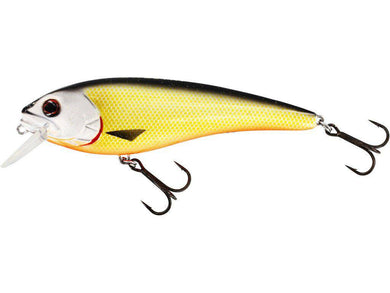 Westin RawBite 15cm - Fishing Lures Ltd