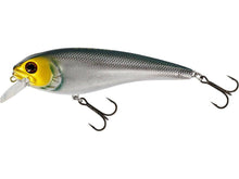 Load image into Gallery viewer, Westin RawBite 17cm - Fishing Lures Ltd
